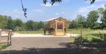 Vue du domaine — Haras de la Perellina