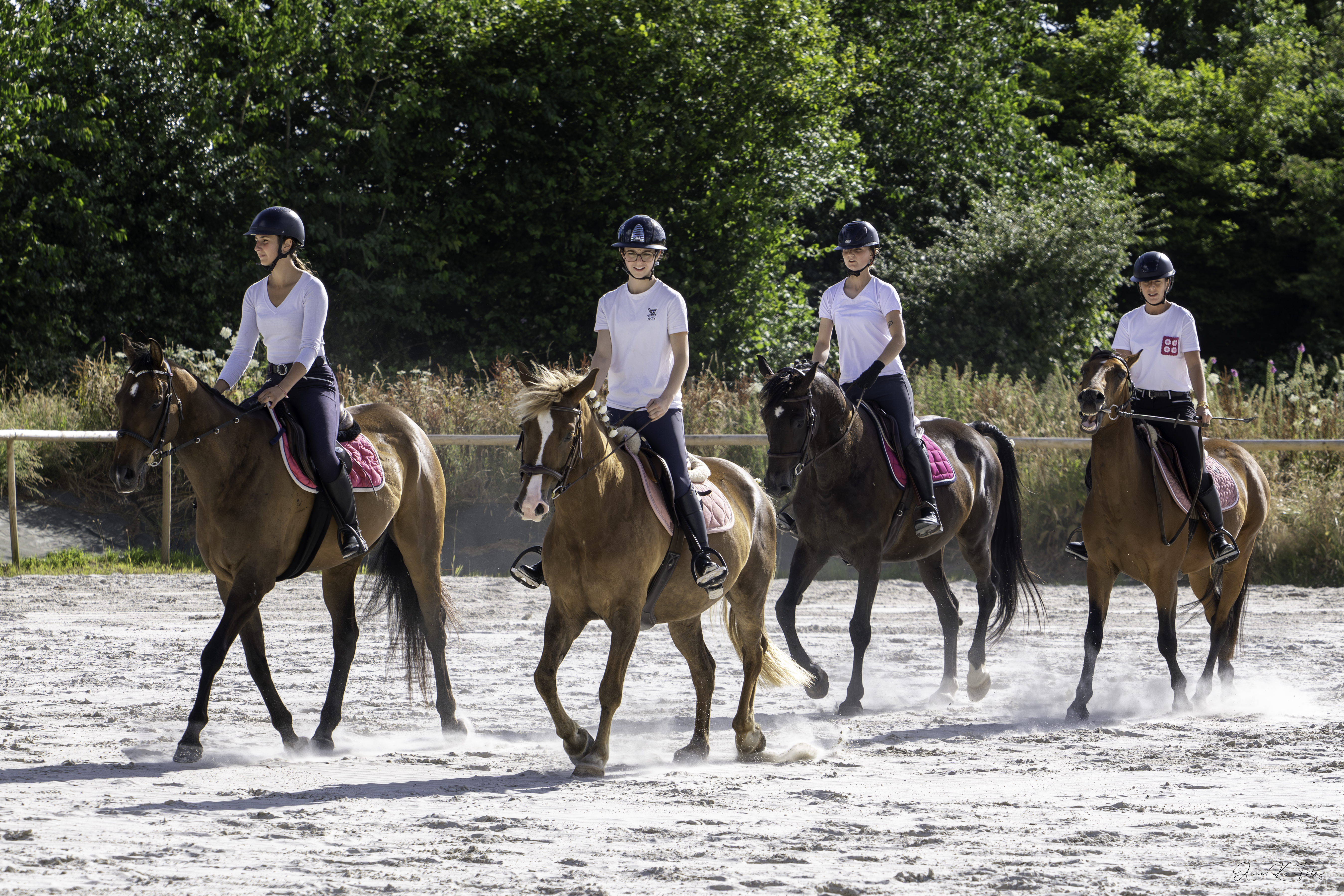Installations du Haras de la Perellina
